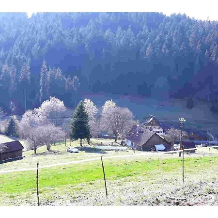 Ferienhaus Schwarzwald Seewald Erzgrube Badesee 100% Natur Eksteriør billede