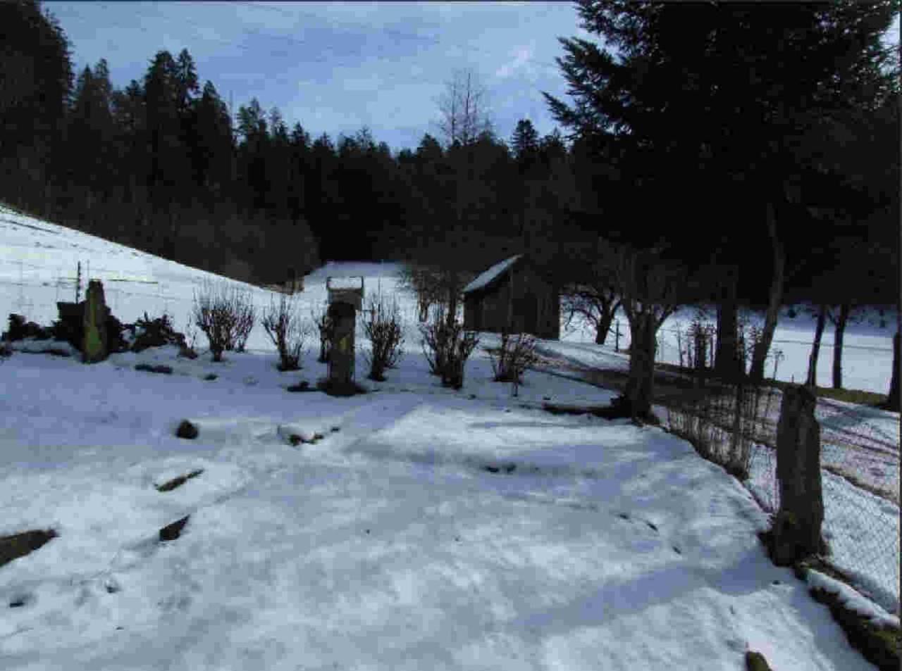 Ferienhaus Schwarzwald Seewald Erzgrube Badesee 100% Natur Eksteriør billede
