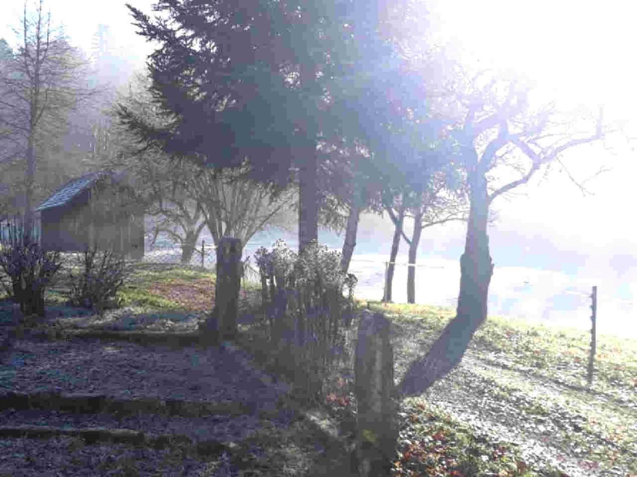 Ferienhaus Schwarzwald Seewald Erzgrube Badesee 100% Natur Eksteriør billede