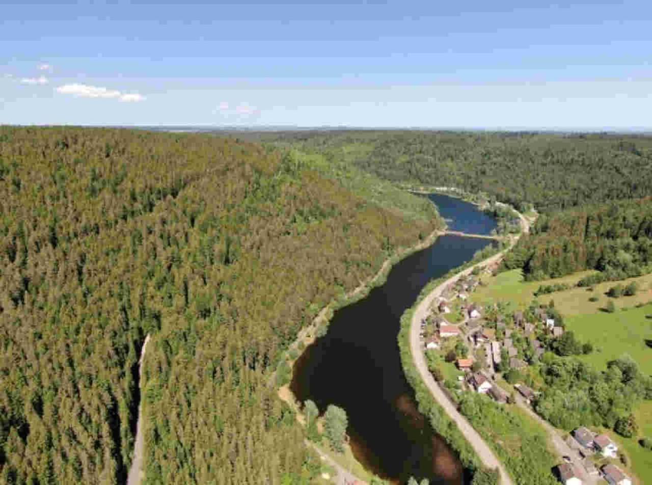Ferienhaus Schwarzwald Seewald Erzgrube Badesee 100% Natur Eksteriør billede