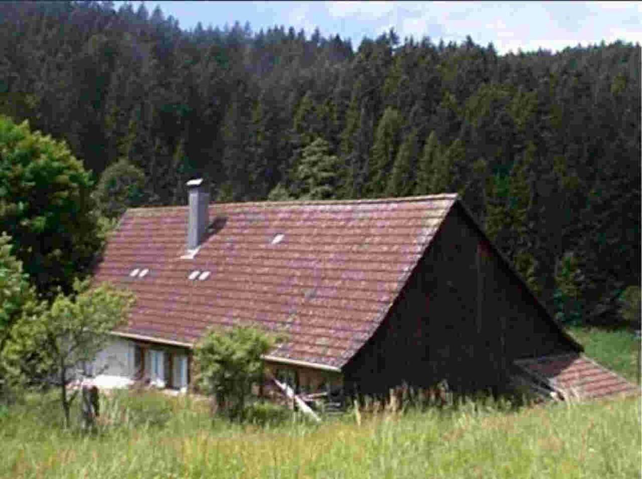 Ferienhaus Schwarzwald Seewald Erzgrube Badesee 100% Natur Eksteriør billede